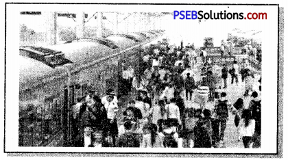 PSEB 7th Class English Creative Writing 1