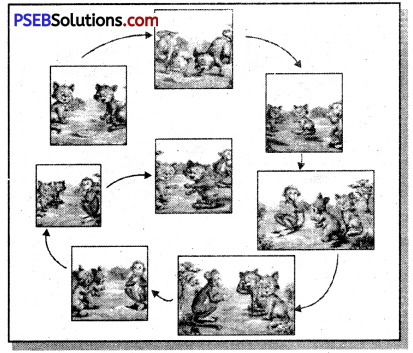 PSEB 7th Class English Creative Writing 15