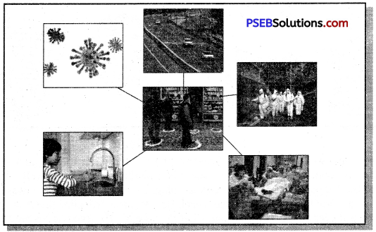 PSEB 7th Class English Creative Writing 16