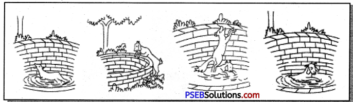 PSEB 7th Class English Creative Writing 18