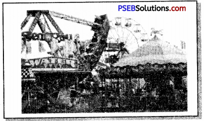 PSEB 7th Class English Creative Writing 3