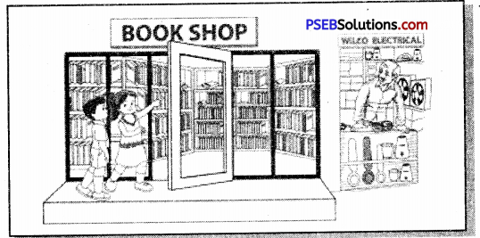 PSEB 7th Class English Creative Writing 4