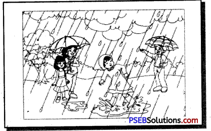 PSEB 7th Class English Creative Writing 8