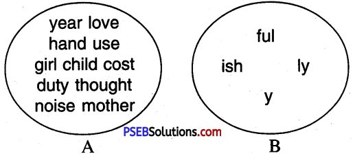 PSEB 7th Class English Grammar Adjectives with Degrees 4