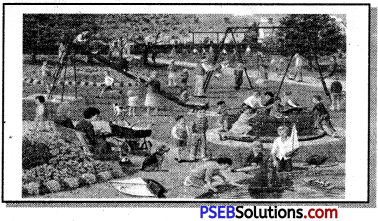 PSEB 7th Class English Reading Comprehension Picture Poster Based 2
