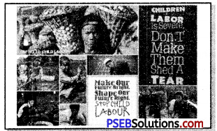 PSEB 7th Class English Reading Comprehension Picture Poster Based 5