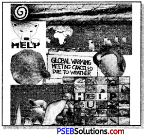 PSEB 7th Class English Reading Comprehension Picture Poster Based 6