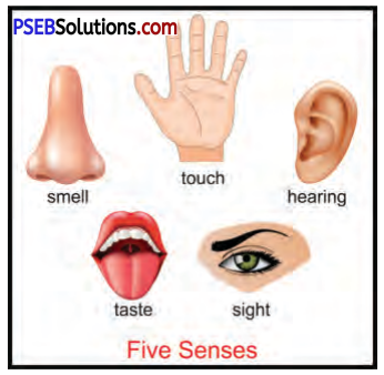 PSEB 7th Class English Solutions Chapter 1 Rent for Water 1