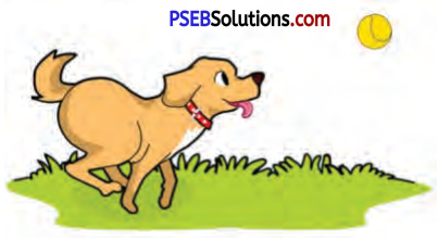 PSEB 7th Class English Solutions Chapter 1 Rent for Water 2