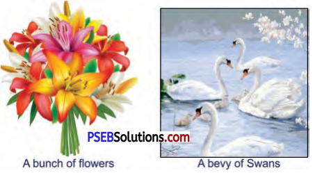 PSEB 7th Class English Solutions Chapter 1 Rent for Water 3