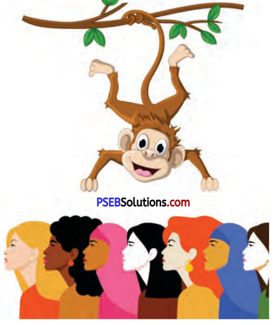 PSEB 7th Class English Solutions Chapter 1 Rent for Water 6