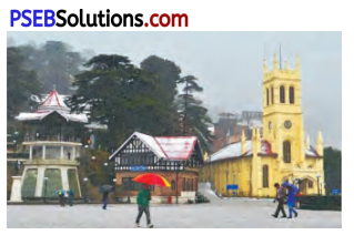 PSEB 7th Class English Solutions Chapter 2 Birbal’s Khichdi 2