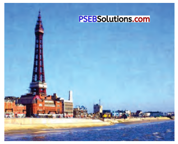 PSEB 7th Class English Solutions Chapter 3 A Glass of Milk 1