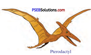 PSEB 7th Class English Solutions Chapter 5 The Princess Who Never Smiled 6