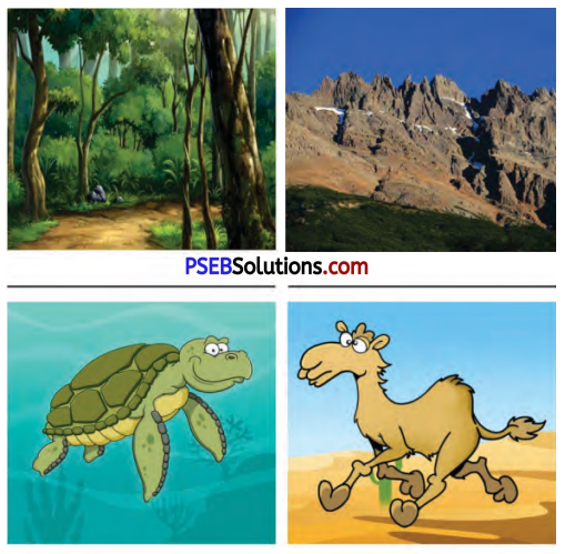 PSEB 7th Class English Solutions Chapter 6 A Treasure Hunt 1