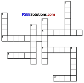 PSEB 7th Class English Solutions Chapter 7 A Hole in the Fence 1