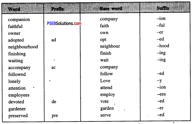 PSEB 7th Class English Solutions Chapter 8 Hachiko-The World’s Most Loyal Dog 2