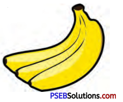 PSEB 7th Class English Solutions Poem 2 The Hunter and the Deer 12