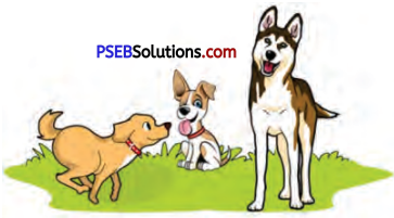 PSEB 7th Class English Solutions Poem 2 The Hunter and the Deer 13