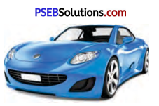 PSEB 7th Class English Solutions Poem 2 The Hunter and the Deer 9