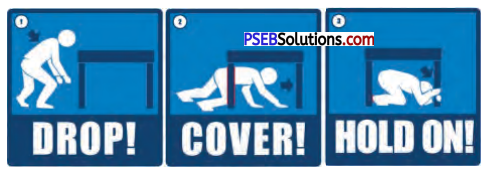 PSEB 7th Class English Solutions Poem 3 An Earthquake 4