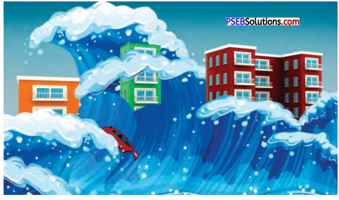 PSEB 7th Class English Solutions Poem 3 An Earthquake 5