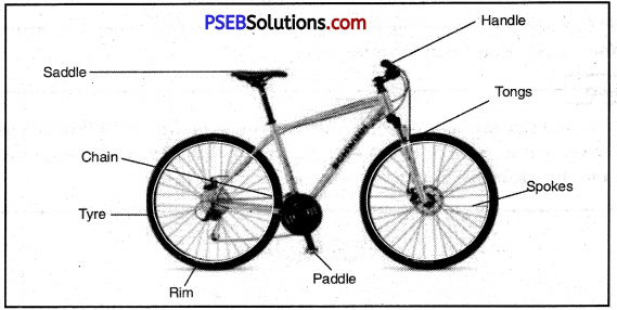 PSEB 8th Class English Creative Writing 1