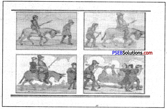 PSEB 8th Class English Creative Writing 8