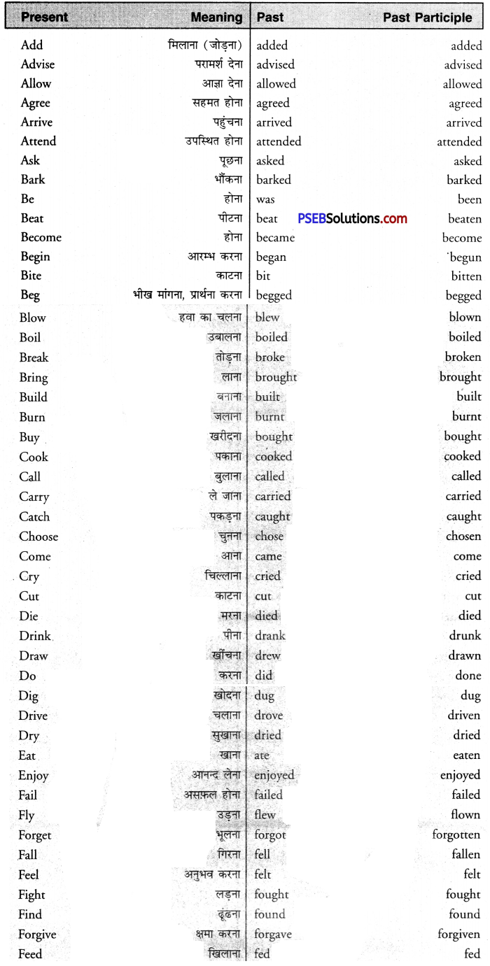 PSEB 8th Class English Grammar The Verb 1