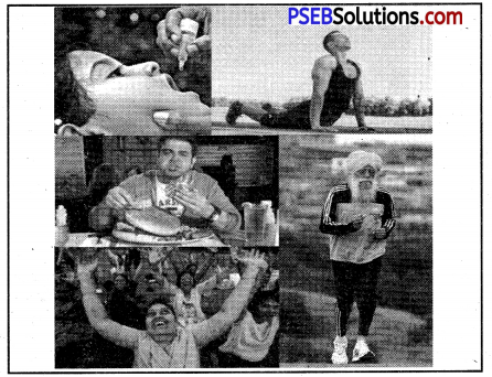 PSEB 8th Class English Reading Comprehension Picture Poster Based 6