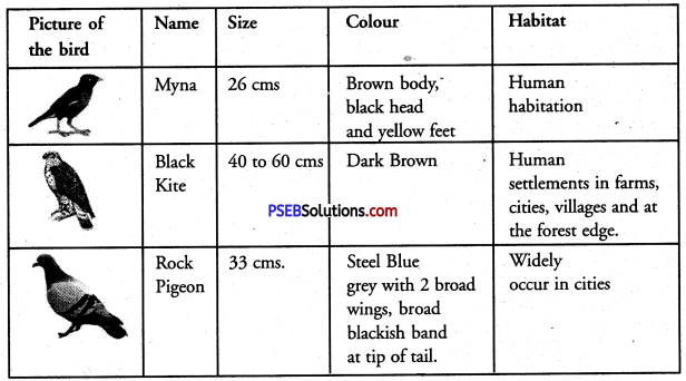 PSEB 8th Class English Solutions Chapter 1 Value of Money 7