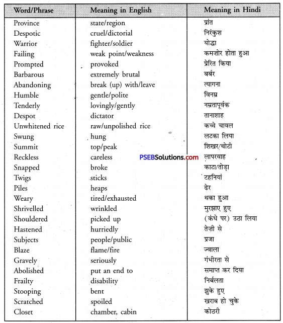 PSEB 8th Class English Solutions Chapter 2 The Aged Mother 1