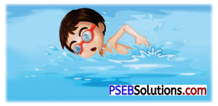 PSEB 8th Class English Solutions Chapter 4 The Old Sage and the Brothers 4