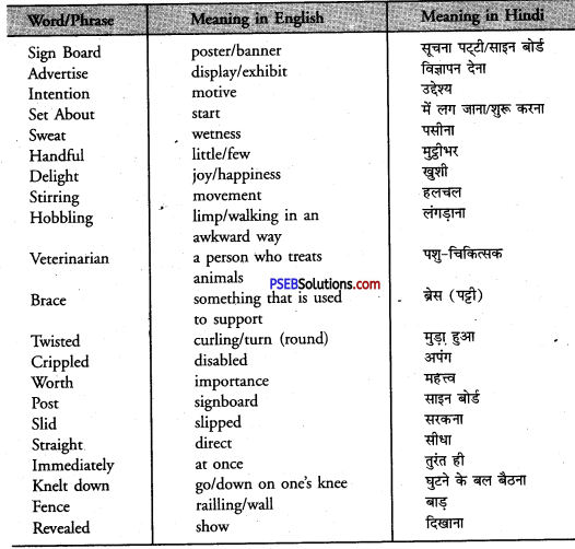 PSEB 8th Class English Solutions Chapter 6 Charge for Love 3