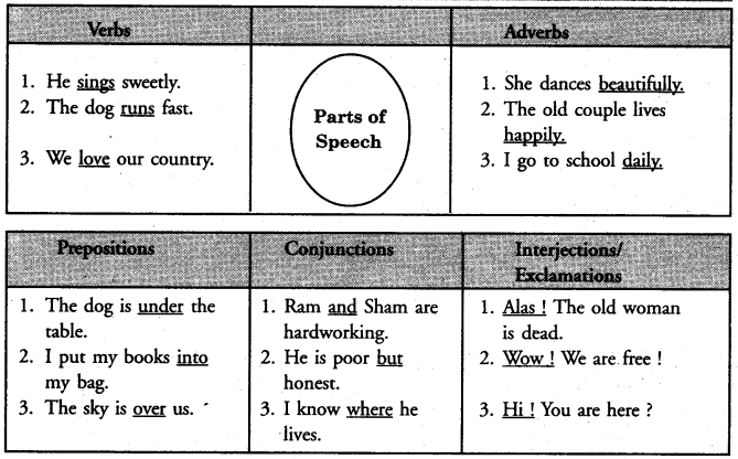 PSEB 8th Class English Solutions Poem 1 The Earth Needs You 4