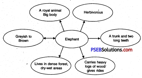 PSEB 8th Class English Solutions Poem 4 My Dear Soldiers 2