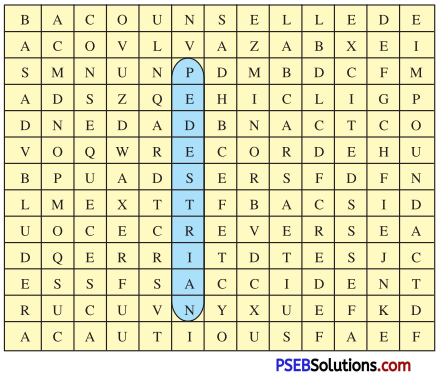 PSEB 8th Class English Solutions Safety Chapter 7 Safety While Driving 1