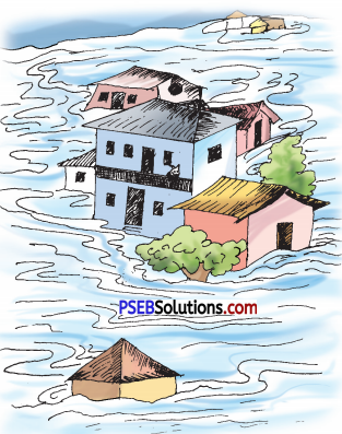 PSEB 9th Class English Literature Book Solutions Chapter 3 In the Flood 1
