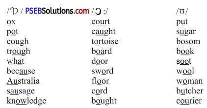 PSEB 9th Class English Main Course Book Solutions Chapter 4 Journey by Night 1